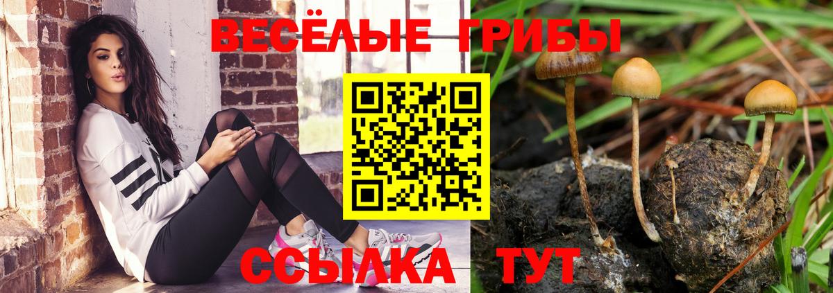Галлюциногенные грибы Psilocybine cubensis  где продают наркотики  Новоуральск  Галлюциногенные грибы MAGIC MUSHROOMS  Вход с VPN 